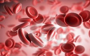 Conosci il sangue?